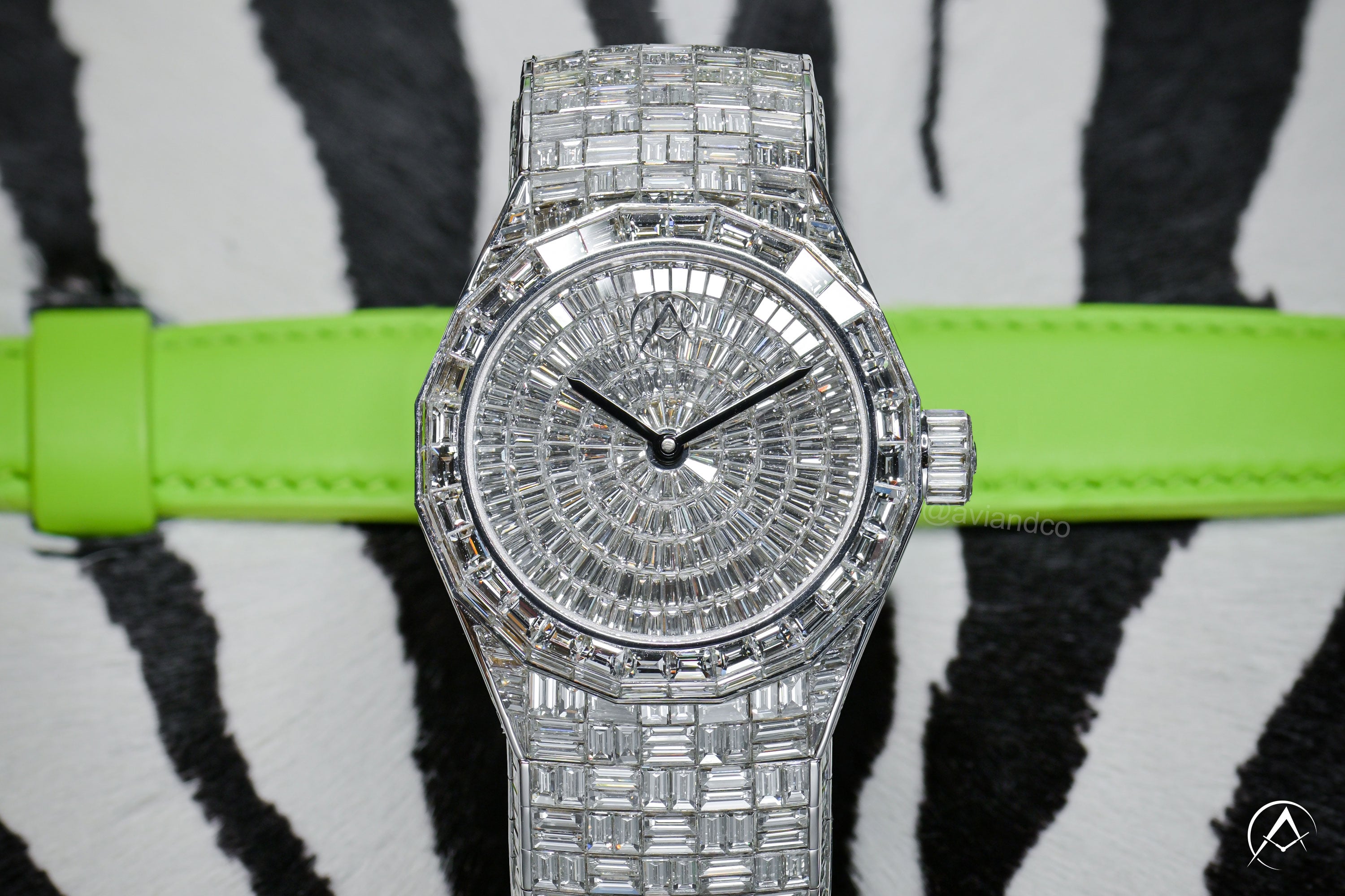 Avi & Co. Iced Collection diamond set Watch on Zebra Background with green strap