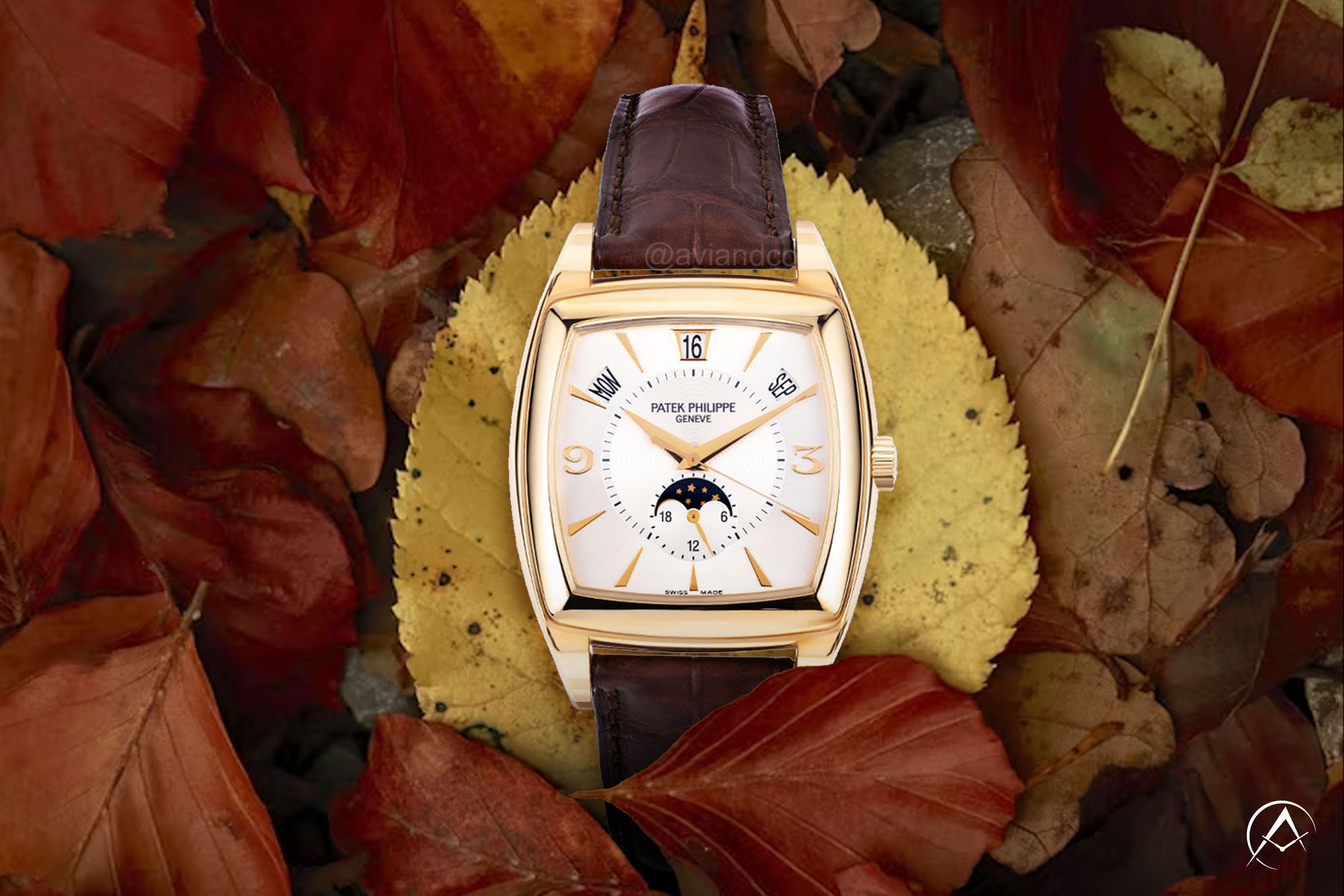 Patek Philippe Gondolo, 18K Yellow Gold, “Sealed,” Silver Dial on fall leaves 