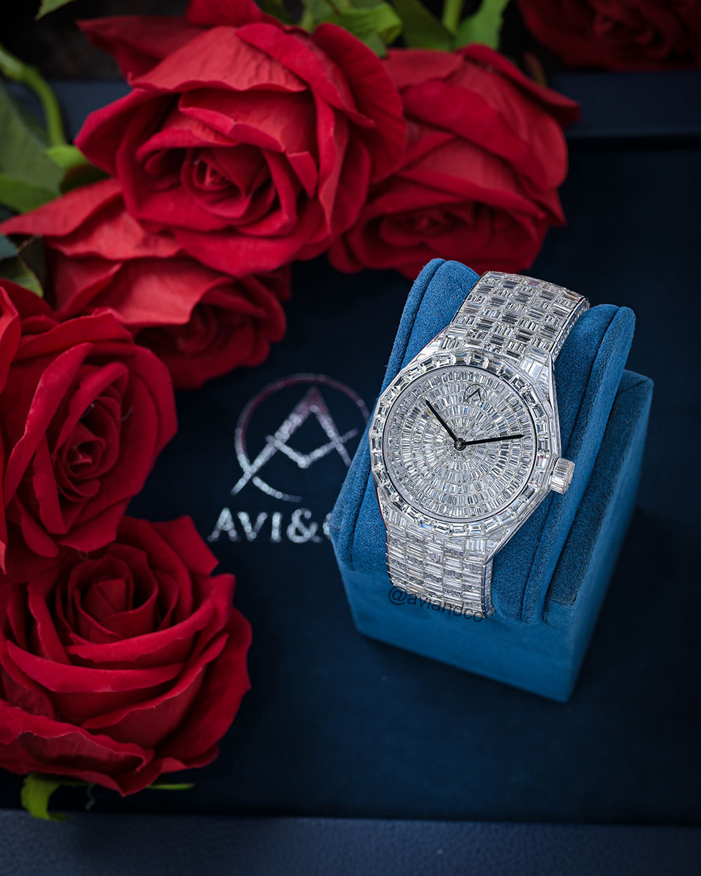 Avi & Co. Iced Collection, Diamond Dial, 18K Rose Gold, 37 mm