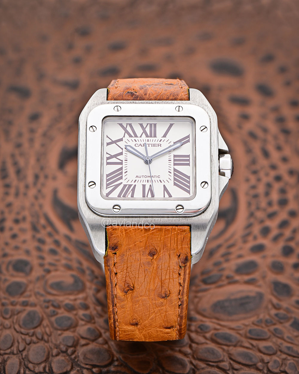 Cartier Santos 100, Platinum, White Roman Dial