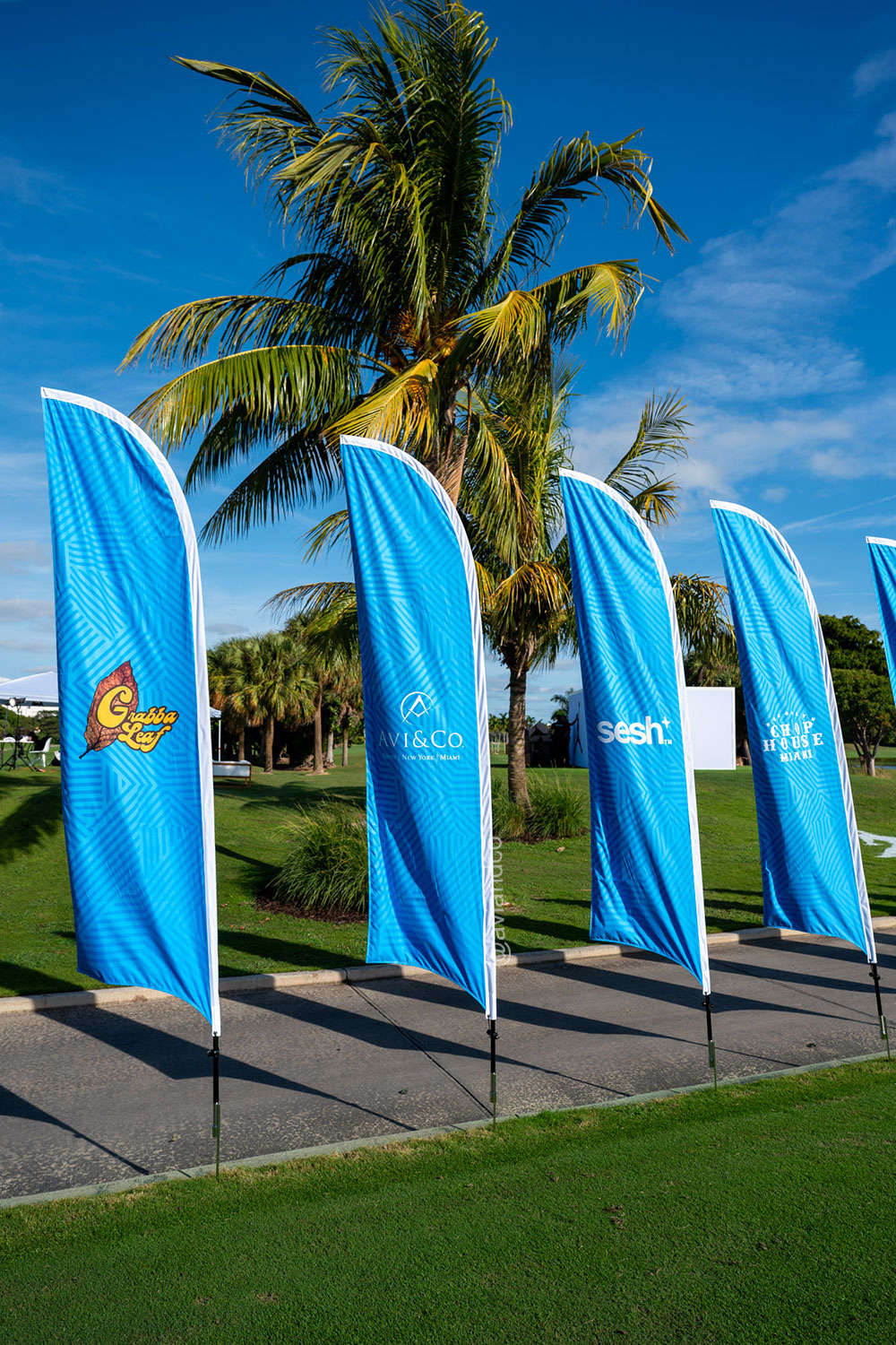 Avi & Co. Sponsorship Flag at We The Best Golf Classic