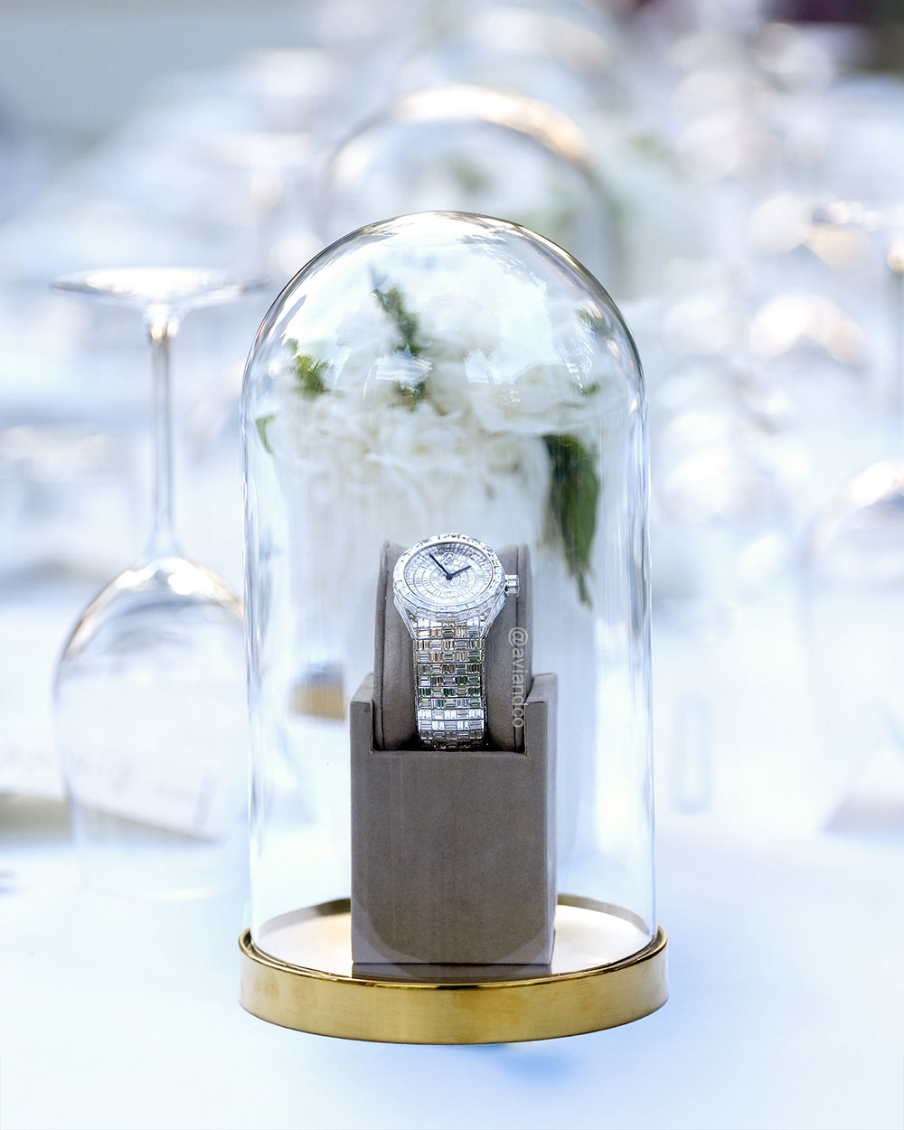 Avi & Co. Iced Collection AH23, 18K White Gold, Diamond Dial, 37 mm