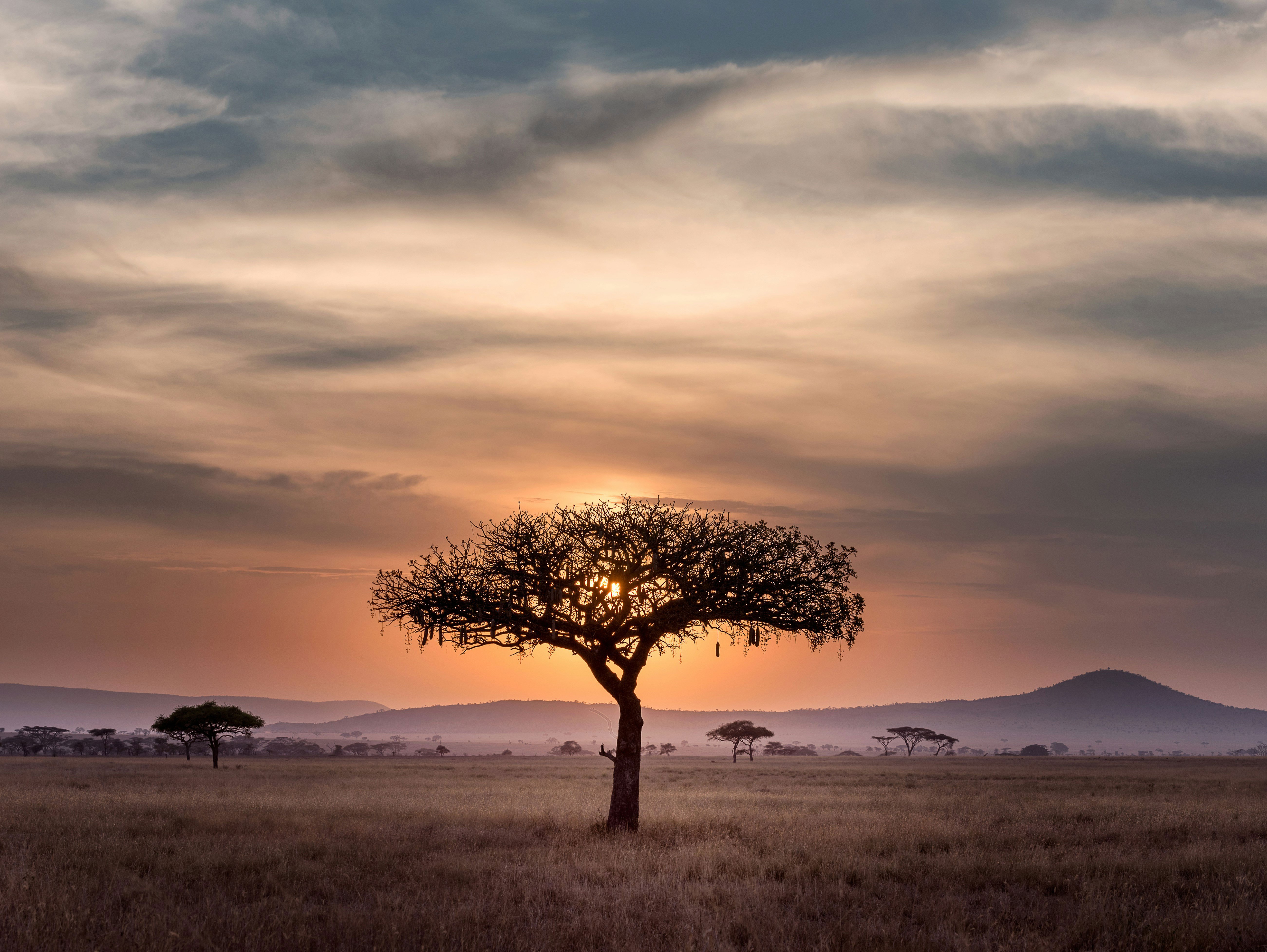 Serengeti National Park in Tanzania, where Tsavorite was discovered