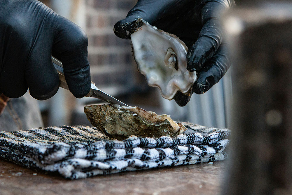 Marine oyster shucking